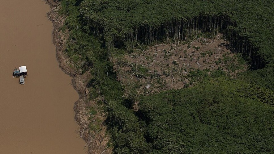 DO AGRO À FLORESTA EM PÉ: Estudo aponta desequilíbrio bilionário no investimento público na Amazônia