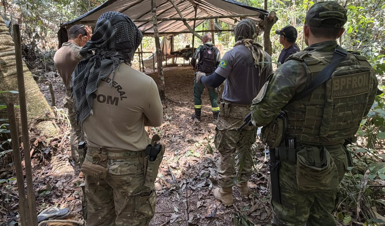 IGARAPÉ LAGE: PF combate extração ilegal de madeira em terra indígena de Rondônia