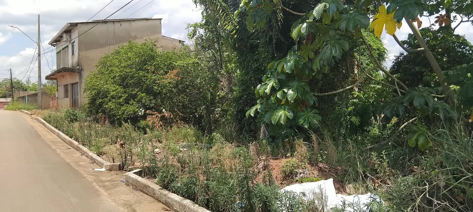 SAÚDE PÚBLICA: Vereador alerta sobre riscos à saúde causados por terrenos baldios