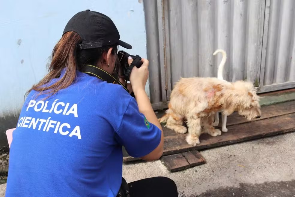 UTILIDADE PÚBLICA: Polícia Civil é o caminho para salvar animais presos em imóveis privados 