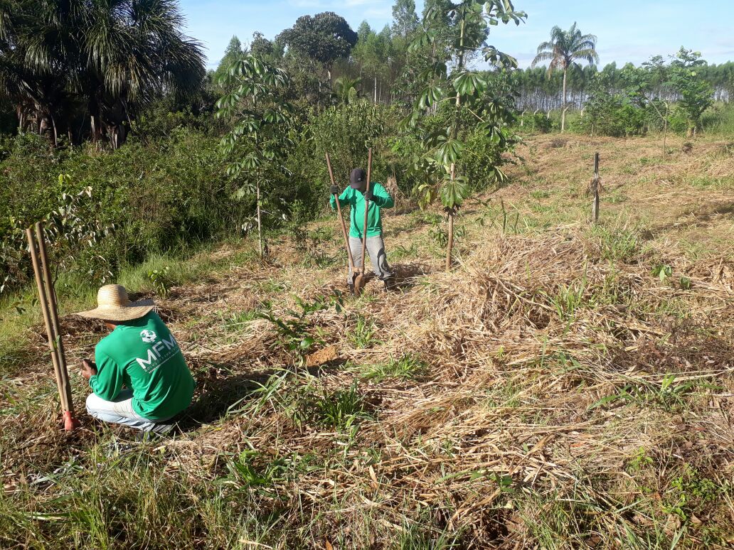 MFM amplia programa de nascentes em aterro sanitário