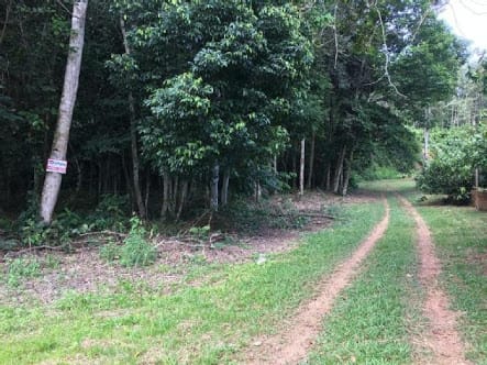 TERROR: Idoso e familiares são amordaçados durante roubo de caminhão em chácara