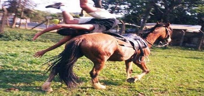 FATALIDADE: Homem morre após cair de cavalo em propriedade rural