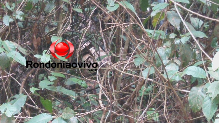 ESQUIZOFRÊNICO: Identificado jovem encontrado morto com tiro na cabeça em ramal da BR-364