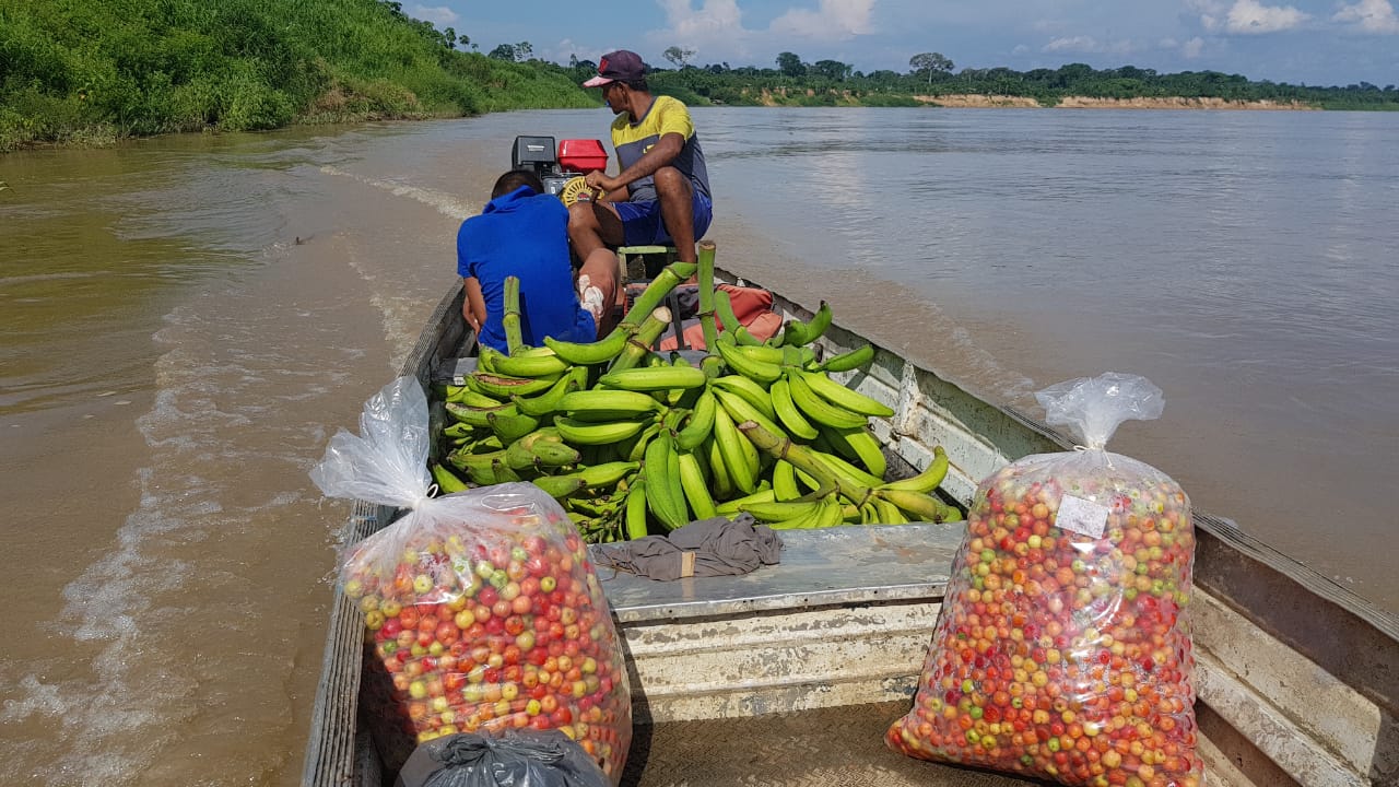 FAMÍLIAS PREJUDICADAS: Ibama atrasa agroindústrias do baixo madeira em Porto Velho