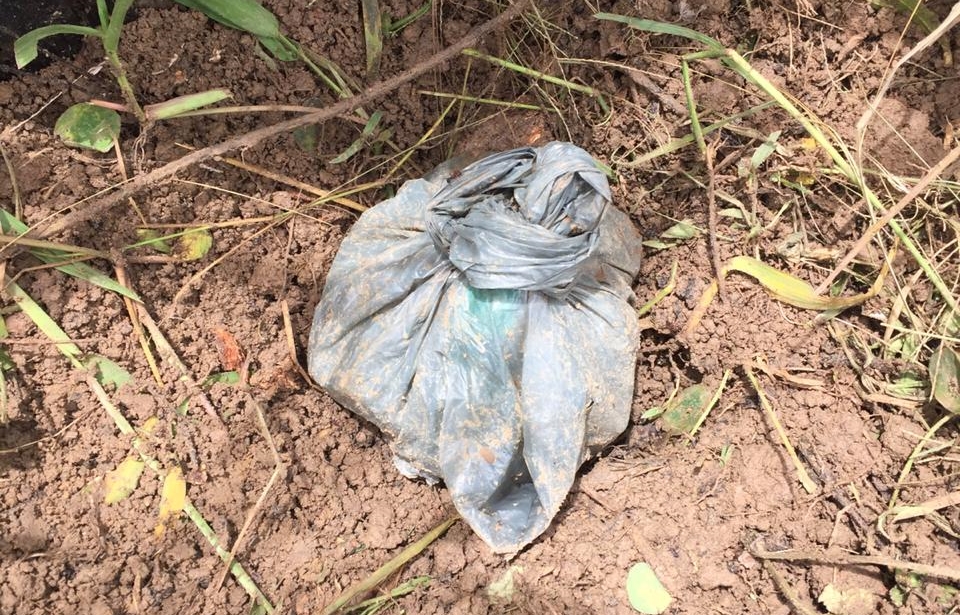 EM RONDÔNIA: PC e PM encontram droga enterrada em propriedade e prende suspeito de tráfico