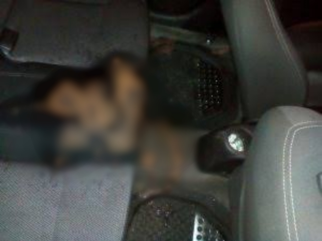 DOENTE: Neto de cliente vomita em carro e motorista de aplicativo acaba preso