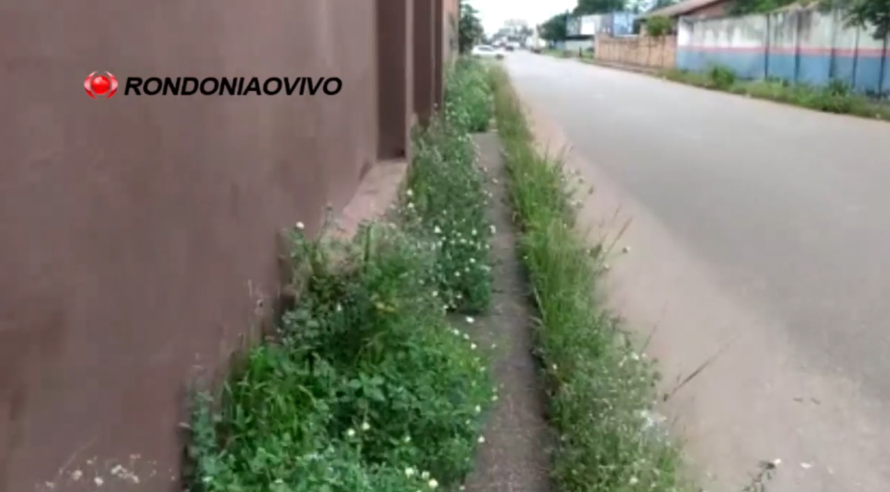 BORA LIMPAR? - Mato em avenida central de Porto Velho atrapalha pedestres