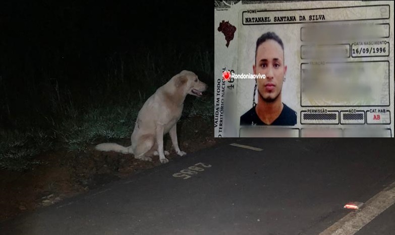 ATÉ O FINAL: Cão permanece ao lado do corpo do dono que morreu atropelado na BR-319