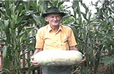 ARIQUEMES – Agricultor colhe pepino gigante com mais de 10kg