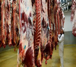 Gravações mostram 'técnicas' para venda de carnes podres