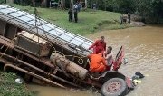 Caminhão carregado de boi cai dentro de riacho e motorista fica preso às ferragens