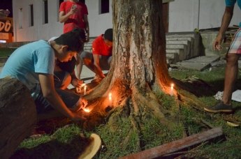 Católicos protestam contra derrubada de árvores