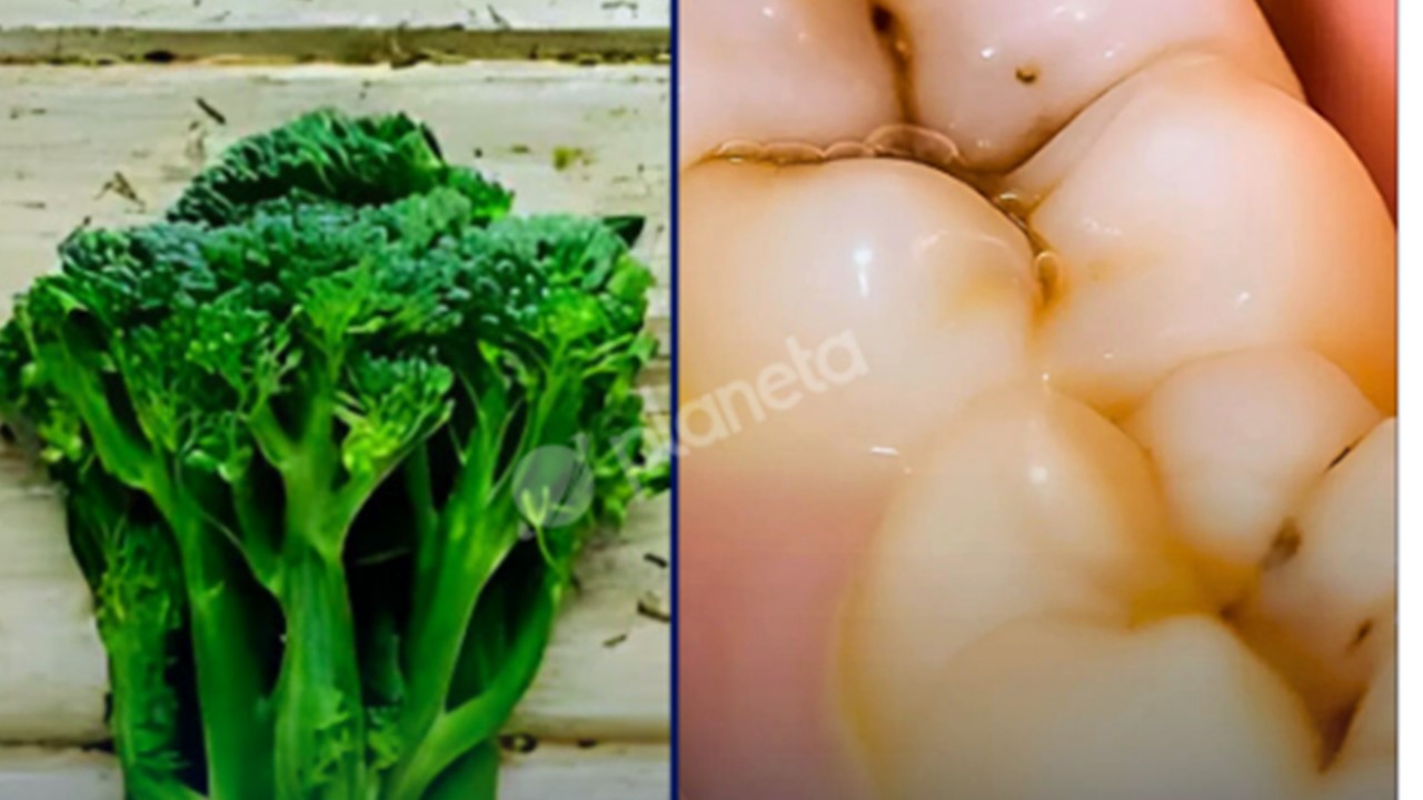 MOLÉCULA: Cientistas descobrem que brócolis pode combater 90% das caries