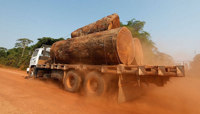 CRIME AMBIENTAL: Ibama afrouxa fiscalização contra roubo de madeira