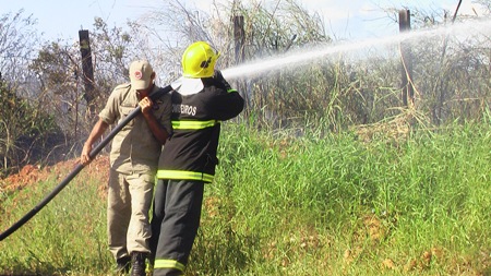 Incêndio em terreno baldio quase destrói rede elétrica na Rio Madeira