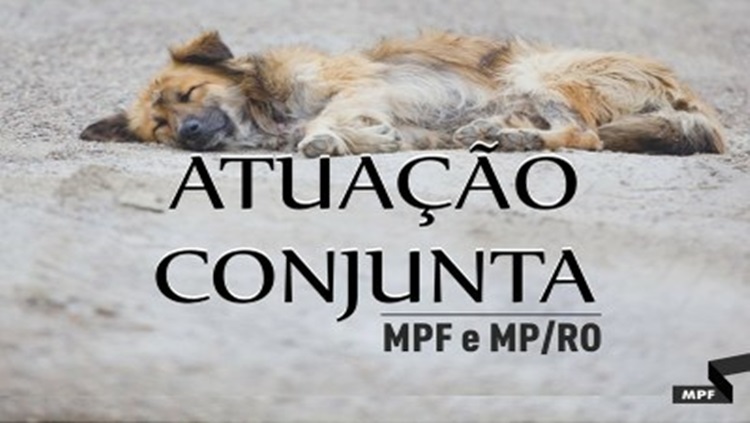 CONTRA AÇÃO VOLUNTÁRIA: MPF e MP/RO pedem informações ao Conselho de Veterinária sobre denúncia