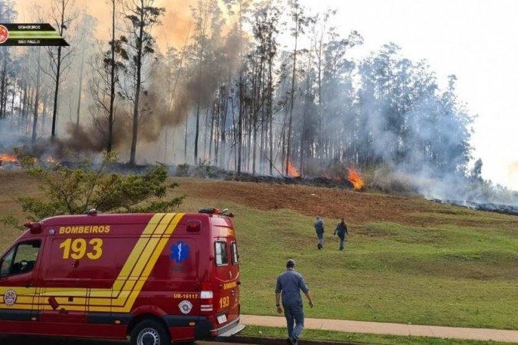 ACIDENTE: Quatro pessoas morrem durante queda de avião em área de mata