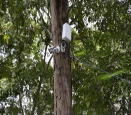 Câmeras de segurança são instaladas no Parque Botânico 