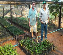 Irrigação de baixo custo para café incentiva produtores