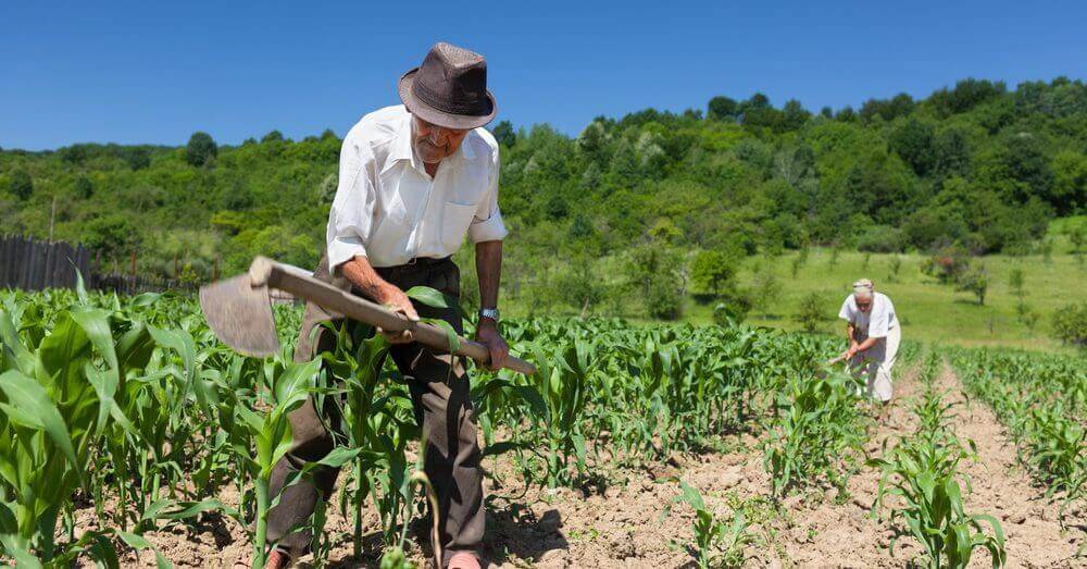 CONHECIMENTO: Agricultura familiar é incentivada com Tarde do Conhecimento e Rodada de Negócios