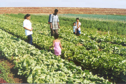 Agropecuária regional em debate, neste sábado, em Cacoal