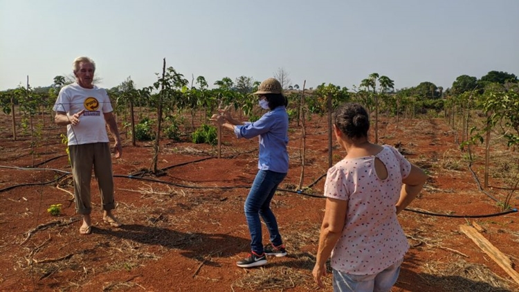 ANIVERSÁRIO: Emater é atuante em propriedades do Território Rio Machado