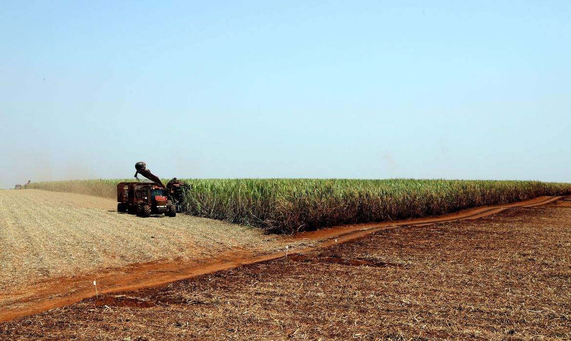 IMPULSO: Ministério lança política nacional de bioinsumos na agricultura