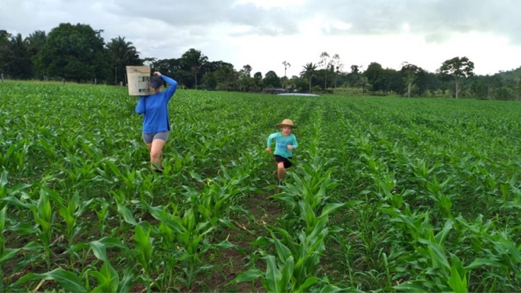 'MAIS CALCÁRIO': Produtores de leite se sentem satisfeitos com programa