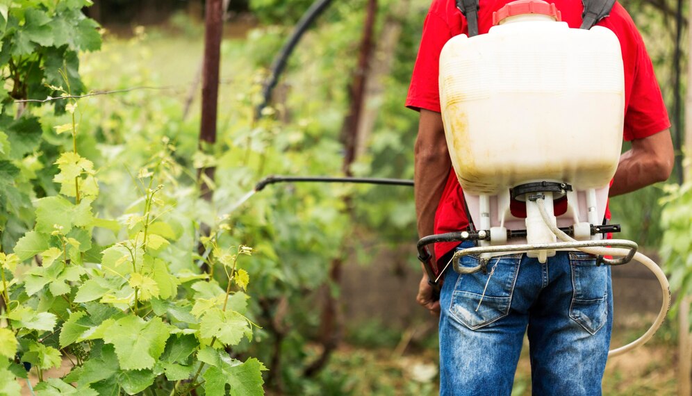 AGROTÓXICO: Rondônia e Mato Grosso são os que mais utilizaram defensivos agrícolas