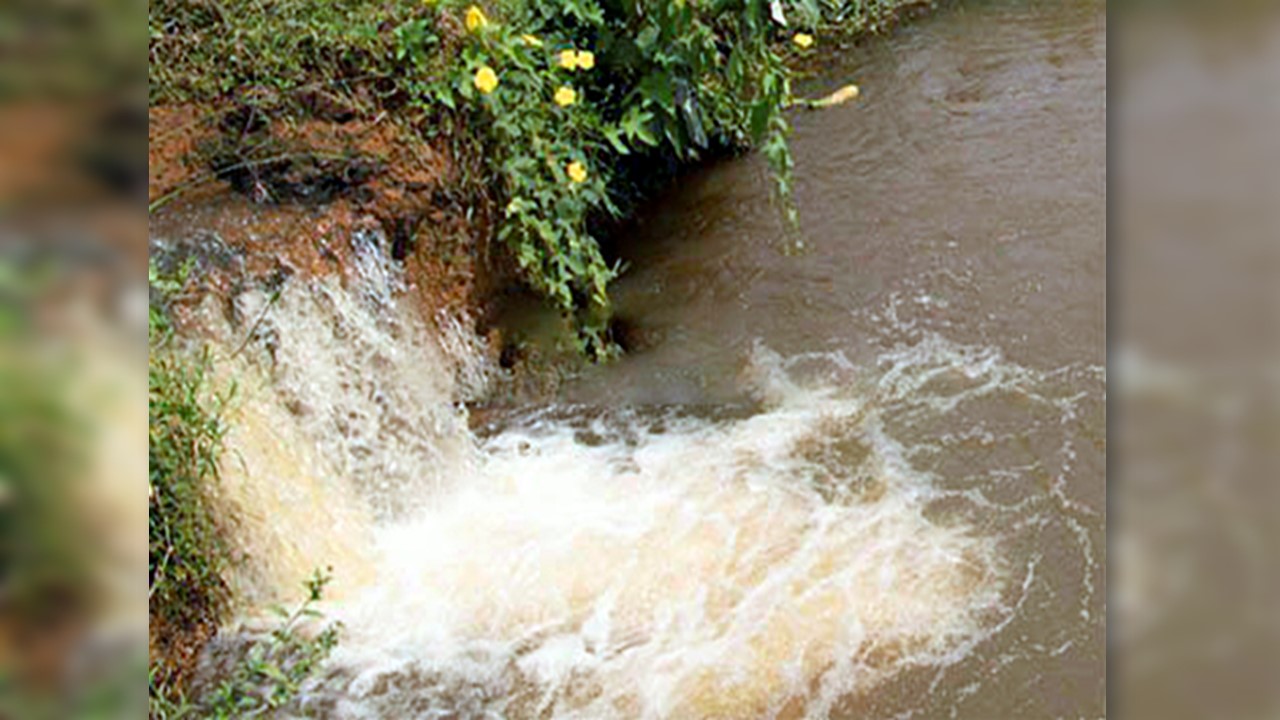 BEM COMUM: Dia Mundial da Água destaca projetos de recuperação de nascentes em Rondônia