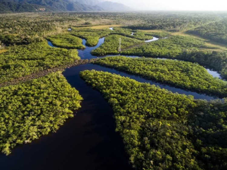 NATUREZA: Agência japonesa irá monitorar a Amazônia via satélite