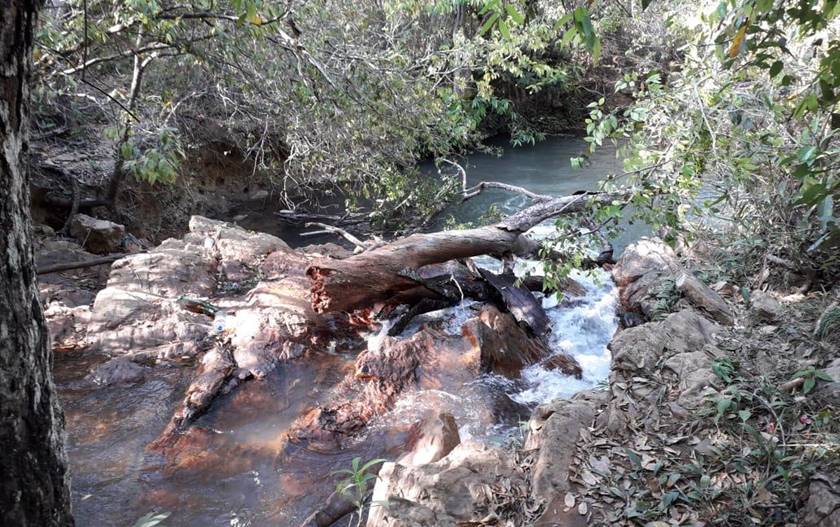 TRAGÉDIA: Criança morre após tronco de árvore cair sobre ela em cachoeira