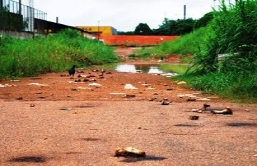 DESGRAÇA - Bairro na entrada da capital se consome em carniça, mato alto, lama, proliferação de focos da dengue e prostituição – Confira fotos