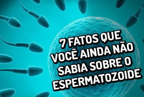 7 fatos que você ainda não sabia sobre o espermatozoide