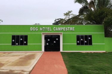 Hotel para cachorros de Rondônia, Dog Hotel Campestre, é sucesso