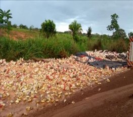 Caminhão baú carregado com cerveja tomba na BR-364