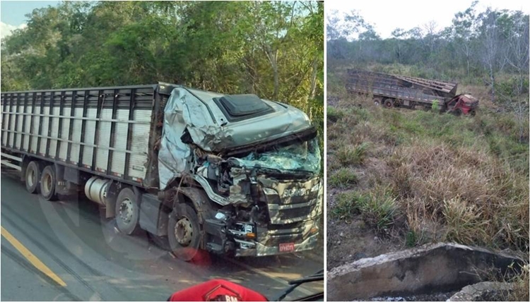 IMPRUDÊNCIA: Caminhões boiadeiros batem de frente na BR 364 no sul de Rondônia 