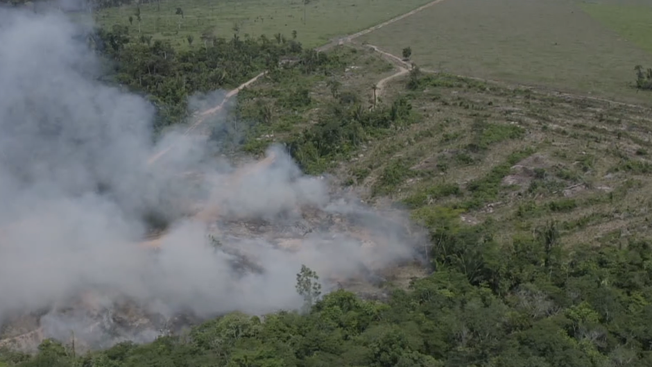 DOCUMENTÁRIO: BBC revela venda ilegal de terras indígenas em Rondônia pelo Facebook