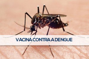 Vacina contra a dengue será vendida a até R$ 138, determina Anvisa