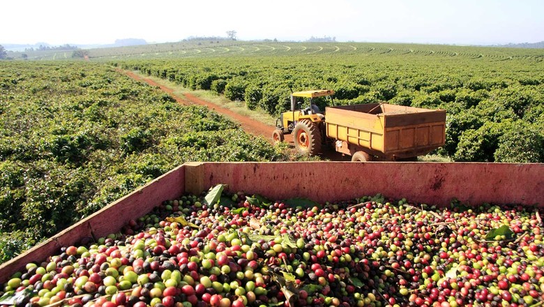 TROCAS: Brasil e Vietnã fecham parceria na área da agropecuária