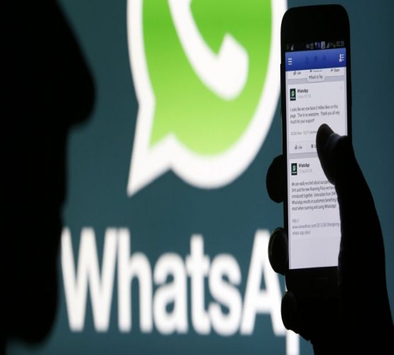 WhatsApp muda termos de uso para se preparar para versão empresarial