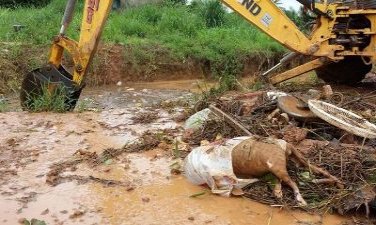 CENA DA CIDADE - Cachorro morto, tubo de TV e muito entulho provocaram alagação em bairro da Capital - FOTOS