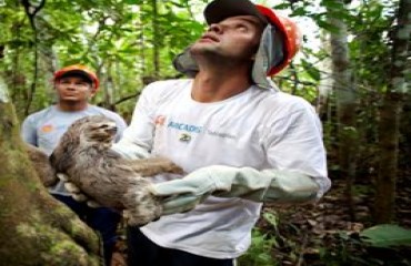 Centro de Triagem de Animais Silvestres de Rondônia é o mais moderno do Brasil