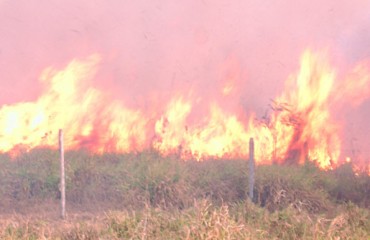 Sem carro, brigadista do Ibama socorre vítima de incêndio a cavalo