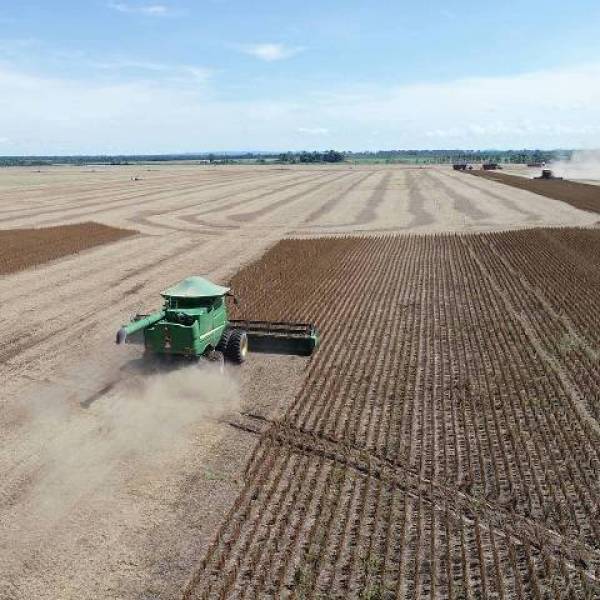 AGRICULTURA: Município Cabixi em Rondônia se destaca na produção de soja