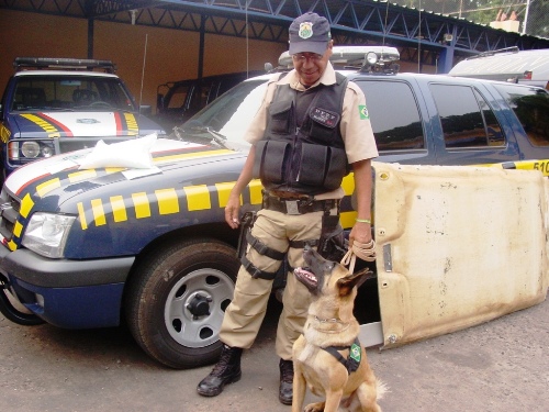 Cão da PRF encontra 22 kg de cocaína que ia para São Paulo