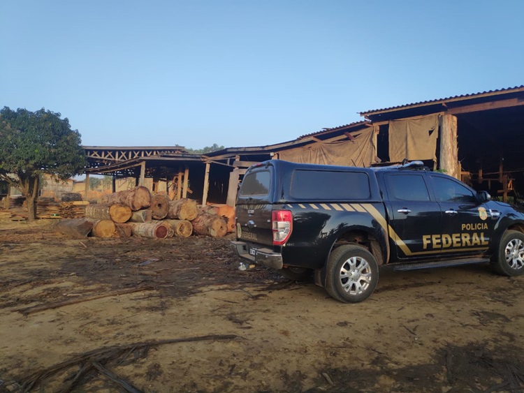 FLORESTA S/A: PF faz operação para desarticular madeireiras irregulares na Flona Bom Futuro