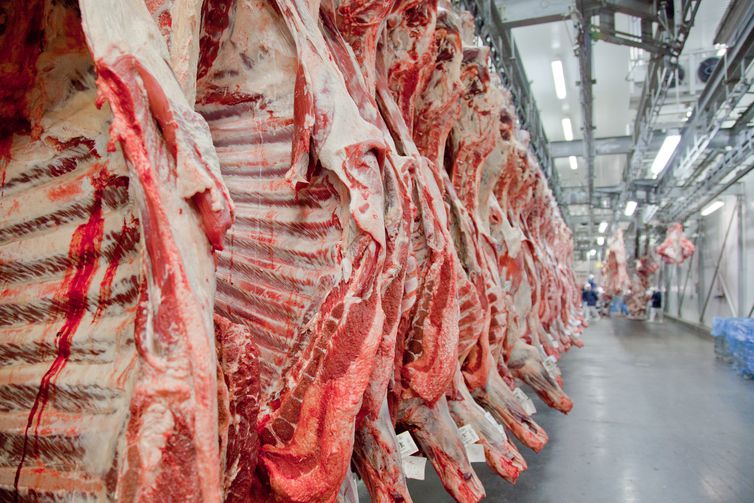 AGROPECUÁRIA: China retoma importações de carne bovina do Brasil