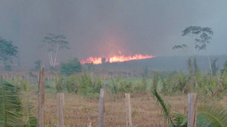 CHUPINGUAIA: Invasores são acusados de atear fogo em matas preservadas de fazendas